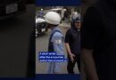 Bear captured after roaming Japan streets | DW News