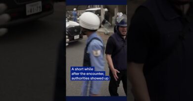 Bear captured after roaming Japan streets | DW News