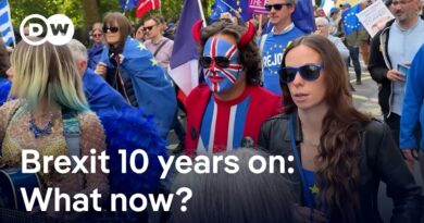 Brexit 10 years on: Is the UK moving closer to the EU again? | DW News