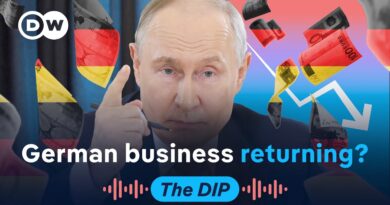Business as usual: Why German-Russian trade ties won’t die | The Dip Podcast