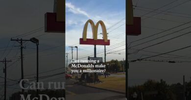 Can running a McDonald’s make you a millionaire? | The Economist