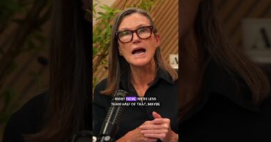 Cathie Wood Doesn’t See A Tech And Telecom Bubble And Bust