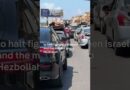 Ceasefire encourages displaced Lebanese to return home to south | DW News