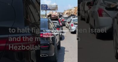 Ceasefire encourages displaced Lebanese to return home to south | DW News