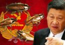 China Has a Cockroach Problem and Can’t Stop It