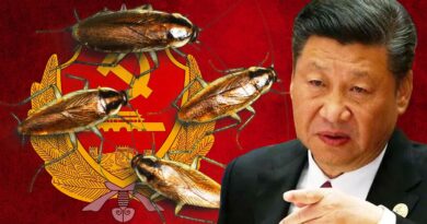 China Has a Cockroach Problem and Can’t Stop It