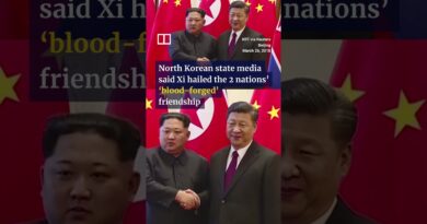 China’s Xi Jinping arrives in Pyongyang for state visit