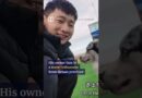 Chinese celebrity dog stolen, slaughtered and eaten