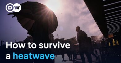 Deadly heat without AC: What Europe must learn before next summer  | DW News