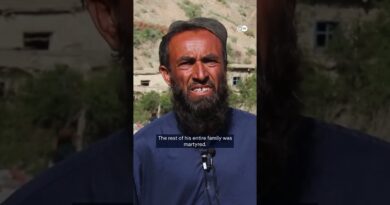 Dozens killed in Afghanistan airstrikes