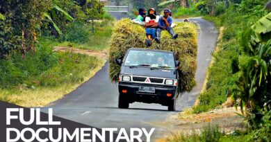 Earth Untold: Java | Hidden Tales from the World’s Most Crowded Island | Free Documentary