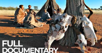 Earth Untold: Namibia | Hidden Tales from a Land of Extremes | Free Documentary