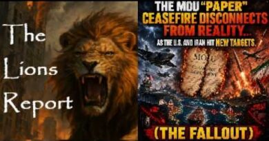 Enough! The Call to Unify. Mannarino