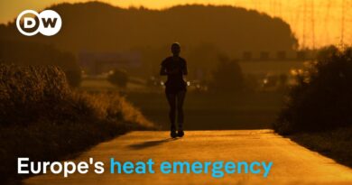 Europe hits record temperatures: Is this the new normal? | DW News