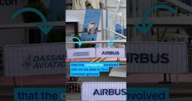 European joint FCAS fighter jet project canceled | DW News