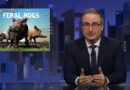 Feral Hogs: Last Week Tonight with John Oliver (HBO)
