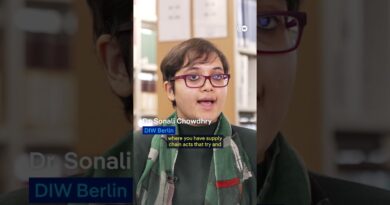 Forced labor: US tariffs vs EU rules | DW News