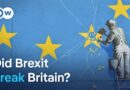 From ‘take back control’ to political chaos | DW News