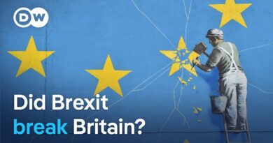 From ‘take back control’ to political chaos | DW News