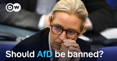 Germany: Debate on AfD reignited by new report