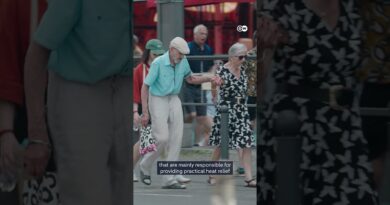 Germany’s heatwave plan under fire | DW News
