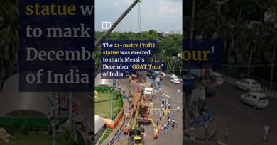 Giant Messi statue taken down in India