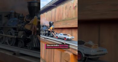 Great Scott this train is hitting 88 miles per hour!🚂
