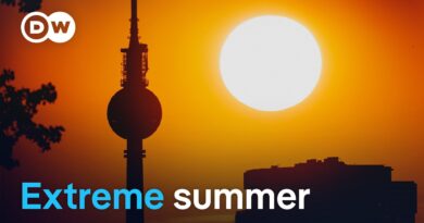 Heat wave and summer storms grip Europe | DW News