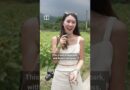 Hongkongers rush to sunflower garden as eviction looms