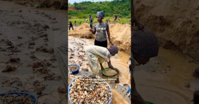 How Ebola Spreads Through Gold Mining