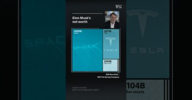 How Elon Musk Became the World’s First Trillionaire