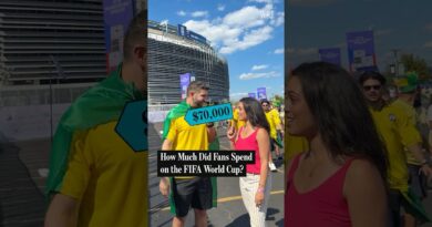 How Much Did Fans Spend on the FIFA World Cup?