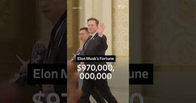 How Much Is Elon Musk’s Fortune Before the SpaceX IPO?
