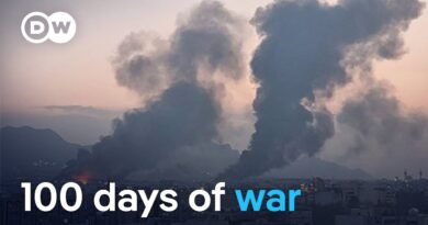 How the war on Iran became an ‘entirely predictable’ regional conflict | DW News