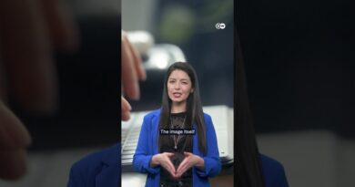 How to erase your deepfakes from the internet | DW News