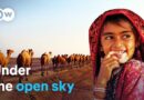 India’s last nomads | DW Documentary