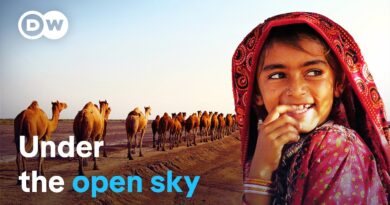India’s last nomads | DW Documentary