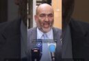 Iran deal is an ‘admission of failure,’ says German-Iranian politician | DW News