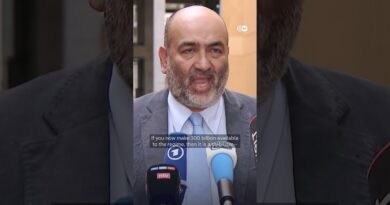 Iran deal is an ‘admission of failure,’ says German-Iranian politician | DW News