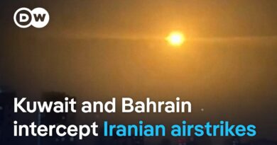 Iranian missiles and drones head for Gulf neighbors | DW News
