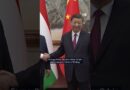Is China’s influence in Serbia and Hungary fading? | DW News