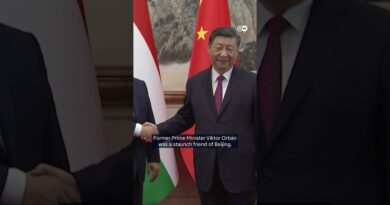 Is China’s influence in Serbia and Hungary fading? | DW News