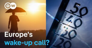 Is this the summer that pushes Europe to adapt to extreme heat? | DW News