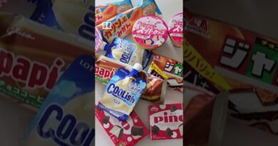 Japan raids alleged ice cream cartel