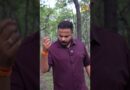 पेड़-पौधों पर जमा काली धूल! Jharkhand में फैक्ट्री की फैलाई क्या दुर्दशा दिखी Newspinch को?