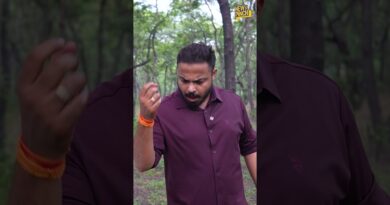 पेड़-पौधों पर जमा काली धूल! Jharkhand में फैक्ट्री की फैलाई क्या दुर्दशा दिखी Newspinch को?
