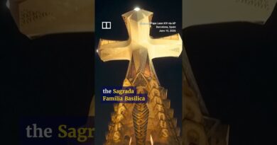 Light show and fireworks illuminate Barcelona’s Sagrada Familia as final spire completed