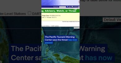 Magnitude 7.8 earthquake strikes southern Philippines | DW News