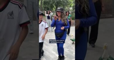 Mexico’s World Cup duck goes viral | DW News
