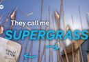 Miscanthus: the supergrass that feeds homes | DW News